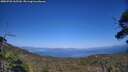 ./images/calvert/fitz-hugh-hecate/20250720/fitz-hugh-hecate20250720_165510M.jpg