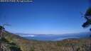 ./images/calvert/fitz-hugh-hecate/20250720/fitz-hugh-hecate20250720_171010M.jpg