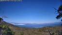 ./images/calvert/fitz-hugh-hecate/20250720/fitz-hugh-hecate20250720_173509M.jpg