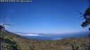 ./images/calvert/fitz-hugh-hecate/20250720/fitz-hugh-hecate20250720_175010M.jpg