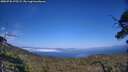 ./images/calvert/fitz-hugh-hecate/20250720/fitz-hugh-hecate20250720_175509M.jpg