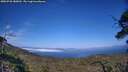 ./images/calvert/fitz-hugh-hecate/20250720/fitz-hugh-hecate20250720_180011M.jpg