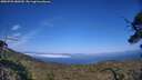 ./images/calvert/fitz-hugh-hecate/20250720/fitz-hugh-hecate20250720_180509M.jpg