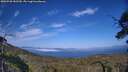 ./images/calvert/fitz-hugh-hecate/20250720/fitz-hugh-hecate20250720_182510M.jpg
