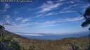 ./images/calvert/fitz-hugh-hecate/20250720/fitz-hugh-hecate20250720_185509M.jpg
