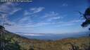 ./images/calvert/fitz-hugh-hecate/20250720/fitz-hugh-hecate20250720_191008M.jpg