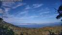 ./images/calvert/fitz-hugh-hecate/20250720/fitz-hugh-hecate20250720_191507M.jpg
