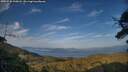 ./images/calvert/fitz-hugh-hecate/20250720/fitz-hugh-hecate20250720_200008M.jpg