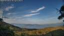 ./images/calvert/fitz-hugh-hecate/20250720/fitz-hugh-hecate20250720_202008M.jpg