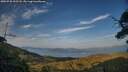 ./images/calvert/fitz-hugh-hecate/20250720/fitz-hugh-hecate20250720_202508M.jpg