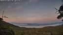 ./images/calvert/fitz-hugh-hecate/20250720/fitz-hugh-hecate20250720_214008M.jpg