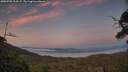 ./images/calvert/fitz-hugh-hecate/20250720/fitz-hugh-hecate20250720_214507M.jpg