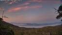 ./images/calvert/fitz-hugh-hecate/20250720/fitz-hugh-hecate20250720_215009M.jpg