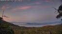 ./images/calvert/fitz-hugh-hecate/20250720/fitz-hugh-hecate20250720_215507M.jpg