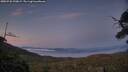 ./images/calvert/fitz-hugh-hecate/20250720/fitz-hugh-hecate20250720_220009M.jpg