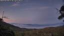./images/calvert/fitz-hugh-hecate/20250720/fitz-hugh-hecate20250720_220507M.jpg