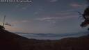 ./images/calvert/fitz-hugh-hecate/20250720/fitz-hugh-hecate20250720_222508M.jpg