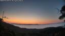 ./images/calvert/fitz-hugh-hecate/20250721/fitz-hugh-hecate20250721_051008M.jpg