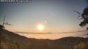 ./images/calvert/fitz-hugh-hecate/20250721/fitz-hugh-hecate20250721_064010M.jpg