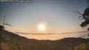 ./images/calvert/fitz-hugh-hecate/20250721/fitz-hugh-hecate20250721_064507M.jpg