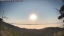 ./images/calvert/fitz-hugh-hecate/20250721/fitz-hugh-hecate20250721_071510M.jpg