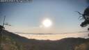 ./images/calvert/fitz-hugh-hecate/20250721/fitz-hugh-hecate20250721_072009M.jpg