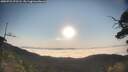 ./images/calvert/fitz-hugh-hecate/20250721/fitz-hugh-hecate20250721_072506M.jpg