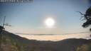 ./images/calvert/fitz-hugh-hecate/20250721/fitz-hugh-hecate20250721_073009M.jpg