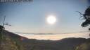 ./images/calvert/fitz-hugh-hecate/20250721/fitz-hugh-hecate20250721_074509M.jpg