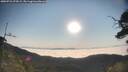 ./images/calvert/fitz-hugh-hecate/20250721/fitz-hugh-hecate20250721_075009M.jpg