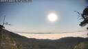 ./images/calvert/fitz-hugh-hecate/20250721/fitz-hugh-hecate20250721_080010M.jpg
