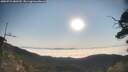 ./images/calvert/fitz-hugh-hecate/20250721/fitz-hugh-hecate20250721_080510M.jpg