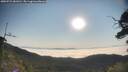 ./images/calvert/fitz-hugh-hecate/20250721/fitz-hugh-hecate20250721_081010M.jpg