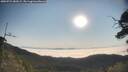 ./images/calvert/fitz-hugh-hecate/20250721/fitz-hugh-hecate20250721_082009M.jpg