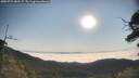 ./images/calvert/fitz-hugh-hecate/20250721/fitz-hugh-hecate20250721_082507M.jpg