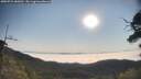 ./images/calvert/fitz-hugh-hecate/20250721/fitz-hugh-hecate20250721_083012M.jpg