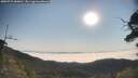 ./images/calvert/fitz-hugh-hecate/20250721/fitz-hugh-hecate20250721_084011M.jpg