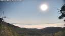 ./images/calvert/fitz-hugh-hecate/20250721/fitz-hugh-hecate20250721_085008M.jpg