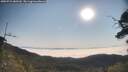 ./images/calvert/fitz-hugh-hecate/20250721/fitz-hugh-hecate20250721_085510M.jpg