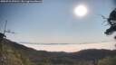./images/calvert/fitz-hugh-hecate/20250721/fitz-hugh-hecate20250721_090511M.jpg