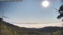 ./images/calvert/fitz-hugh-hecate/20250721/fitz-hugh-hecate20250721_092510M.jpg