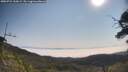 ./images/calvert/fitz-hugh-hecate/20250721/fitz-hugh-hecate20250721_100009M.jpg