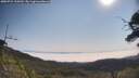 ./images/calvert/fitz-hugh-hecate/20250721/fitz-hugh-hecate20250721_100510M.jpg