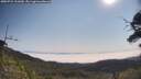 ./images/calvert/fitz-hugh-hecate/20250721/fitz-hugh-hecate20250721_101009M.jpg