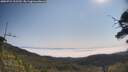 ./images/calvert/fitz-hugh-hecate/20250721/fitz-hugh-hecate20250721_102510M.jpg