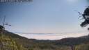 ./images/calvert/fitz-hugh-hecate/20250721/fitz-hugh-hecate20250721_103510M.jpg