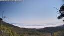 ./images/calvert/fitz-hugh-hecate/20250721/fitz-hugh-hecate20250721_105509M.jpg