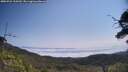 ./images/calvert/fitz-hugh-hecate/20250721/fitz-hugh-hecate20250721_110510M.jpg