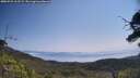 ./images/calvert/fitz-hugh-hecate/20250721/fitz-hugh-hecate20250721_112509M.jpg