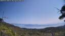 ./images/calvert/fitz-hugh-hecate/20250721/fitz-hugh-hecate20250721_120509M.jpg